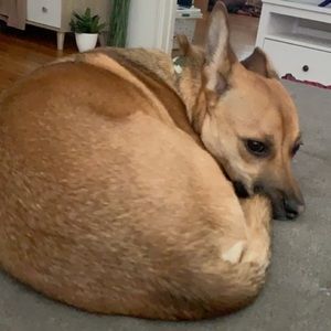 Meet your Posher, Noah